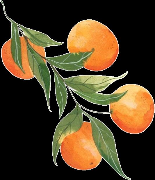 deco